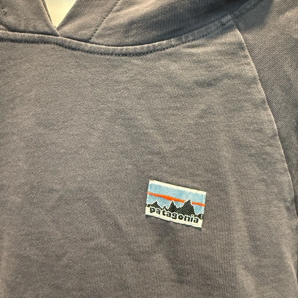 Patagonia Regenerative Organic Cotton Sweatshirt - Picture 3 of 5